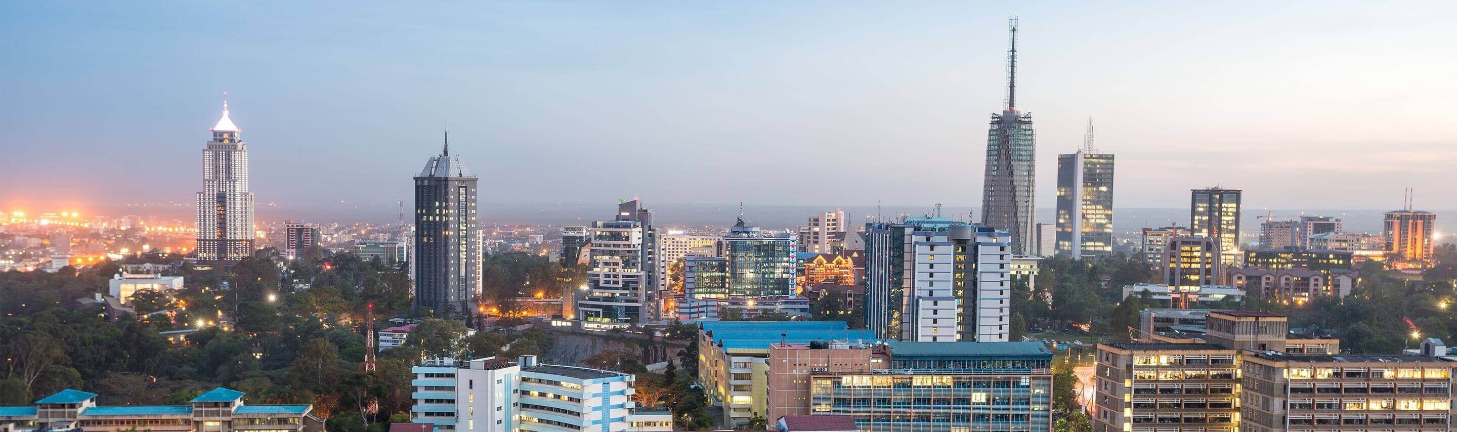 Sky.garden Ecommerce Nairobi Kenya